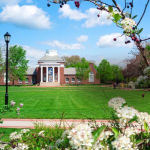 University of Delaware Student