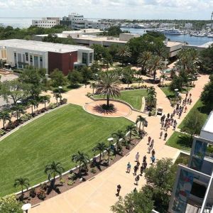 Parent of University of South Florida Student